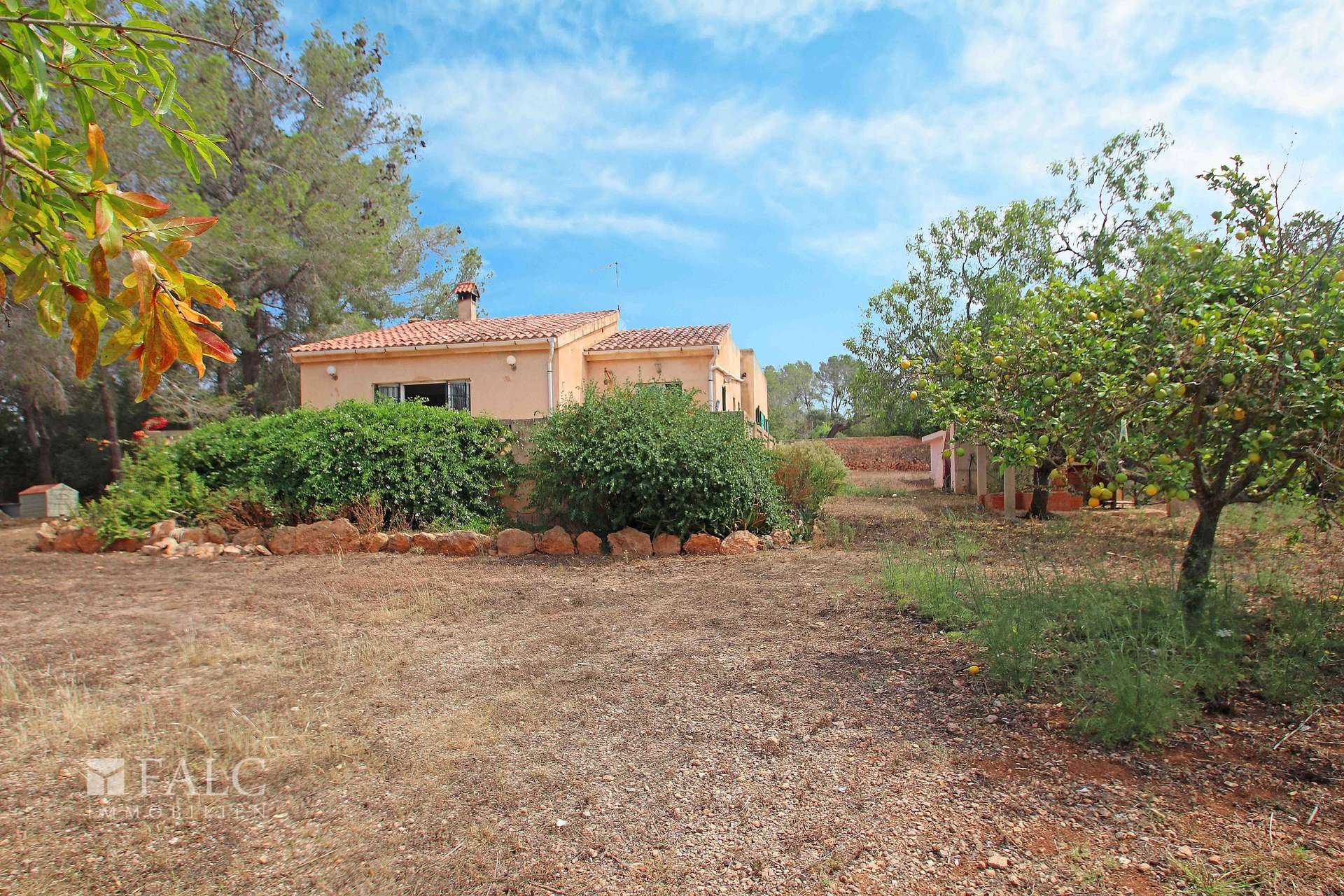 Finca